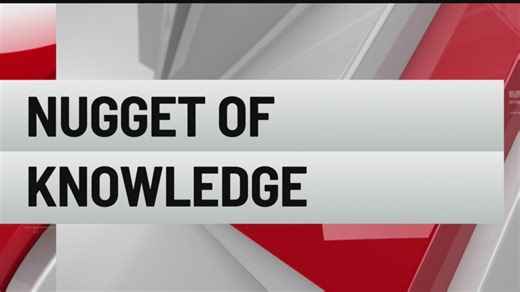 Nugget of Knowledge: Fun December facts