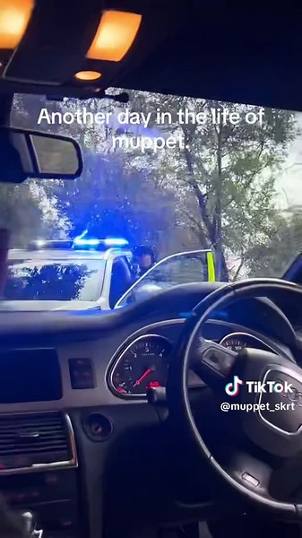 #police #armedpolice #arrest #muppetskrt