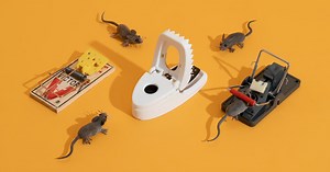 The Best Mousetrap
