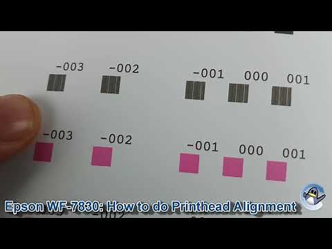 Epson WorkForce WF-7830DTWF: How to do Print Head Alignment (Vertical and Horizontal)