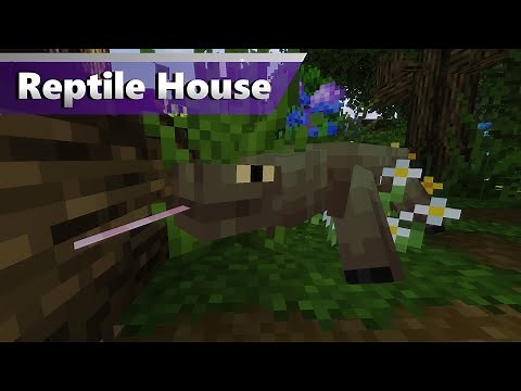 Reptile House | Alex's Mobs Zoo (Minecraft 1.16.5 Zoo)