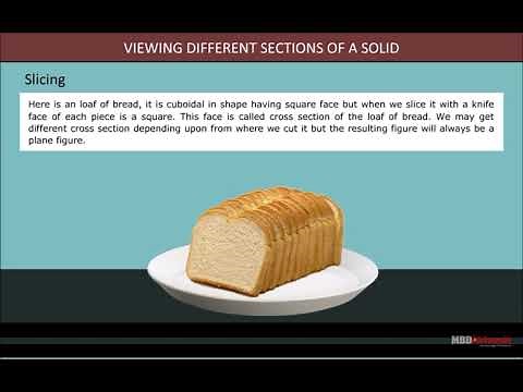 Visualising Solid Shapes | Class 7