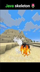 Java Skeleton V/s Bedrock Skelton 💀☠️ || #minecraft #actingchallenge #comedyshorts #trollface