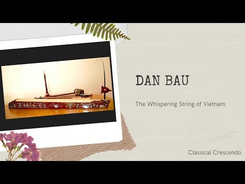 The Dan Bau: Vietnam’s Enchanting One-String Instrument and Its Magical Sound