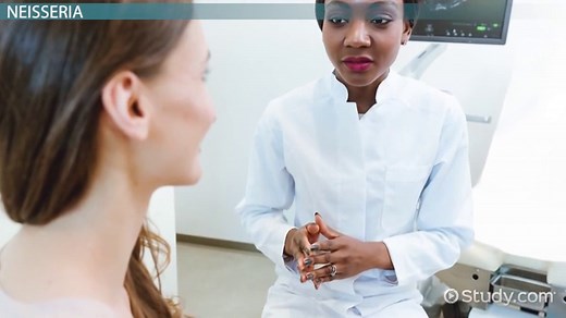 Gram-Negative Cocci Bacteria | Definition & Examples