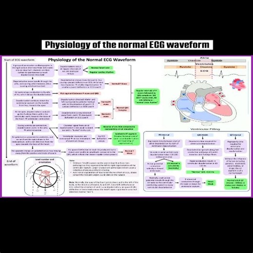 46 reactions | Physiology of the normal ECG waveform  Whether you’re a cardiology professional, student, or enthusiast, save and share this for quick reference! #Cardiology #ECG #MedEd #HeartRhythm #MedicalInfographic 變 | Abdallah Othman | Facebook