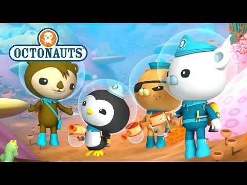 Octonauts: Super Compilation!