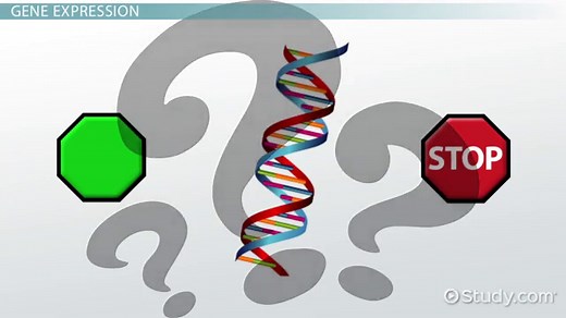 Techniques for Analyzing Gene Expression