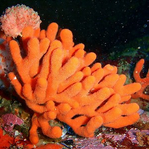 Coding Interview Question: String Compression - Byte by Byte