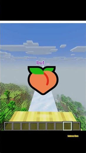 Minecraft - Forge VS Fabric mod loader