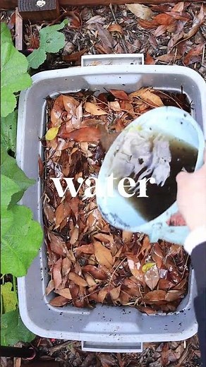 How to Start a Worm Farm (it's easy) Get Your FREE GUIDE!