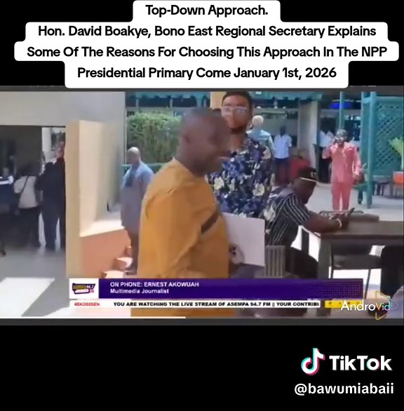 Understanding the Top-Down Approach in NPP Elections