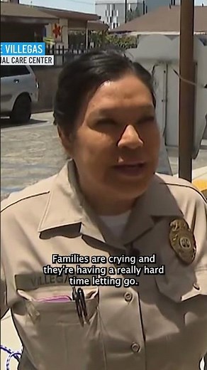 Pets of families impacted by deportations now at animal shelters