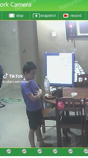 Ultimate IP Camera Trolling Guide and Pranks