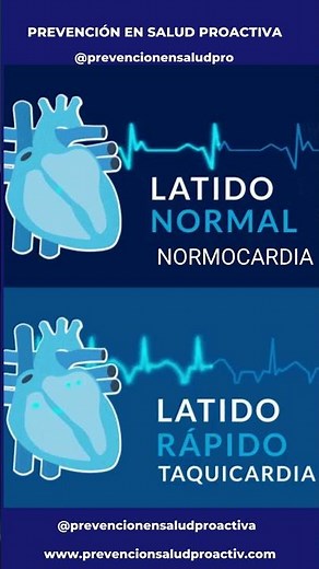 💖❤️Latidos del CORAZÓN💓💞