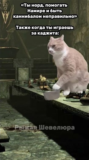 Когда играешь за каджита в Скайриме