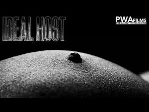 Ideal Host