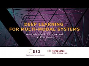 Deep Learning for Multimodel Systems | Data Science Summer School 2023