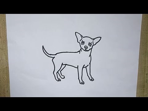How to Draw a Cute Chihuahua Outline Drawing – Easy Chiwawa Dog Sketch Tutorial Step by Step