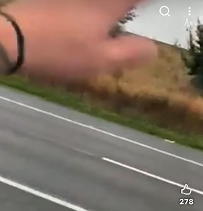 Whichever way you look at it this driver shouldn’t be driving! If he knew the car was there he’s dangerous, if he didn’t know he’s even more dangerous, regardless of how this situation came about. EDIT - My point is the situation should have never been allowed to get this far. No matter who hit who in this situation your reaction should be to brake not carry on oblivious passing people. | lorrydriver.co.uk