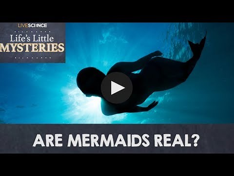 Are Mermaids Real?