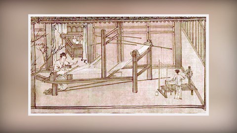 Unveil Surprising Truth Behind Silk Production