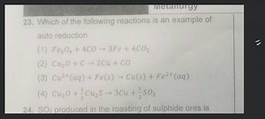 Which of the following reactions are example of homogeneous cat... | Filo