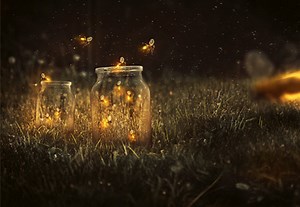 How to Create a Glowing Fireflies Photo Manipulation in Adobe Photoshop | Envato Tuts