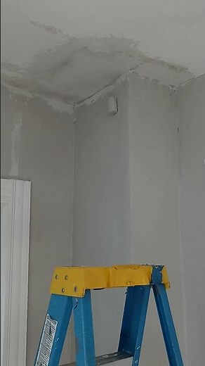 homax ceiling texture. do-it-yourself