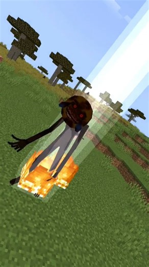 Ye Hai TAX Man..#minecraft