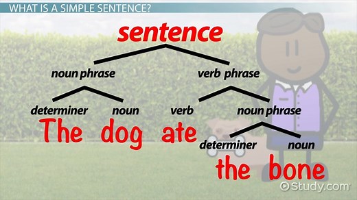 Simple Sentences Lesson for Kids: Definition & Examples