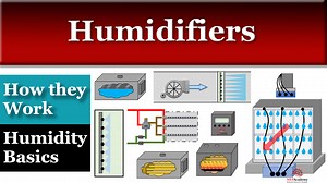 Humidifier Types and Humidity Basics - MEP Academy