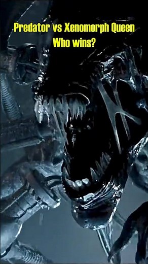 Predator vs Xenomorph Queen: Who wins? #shorts