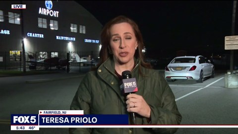 5 endangered red wolves arrive in New Jersey to boost survival efforts