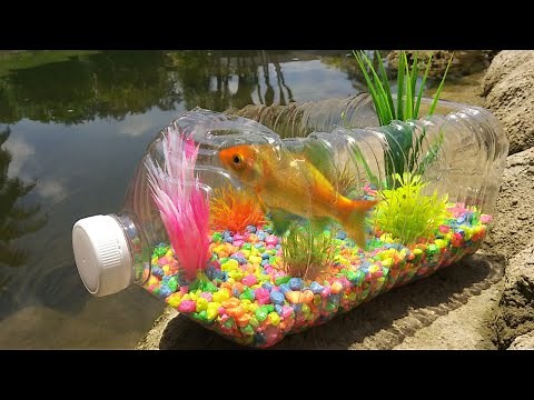 DIY PLASTIC BOTTLE FISH AQUARIUM!