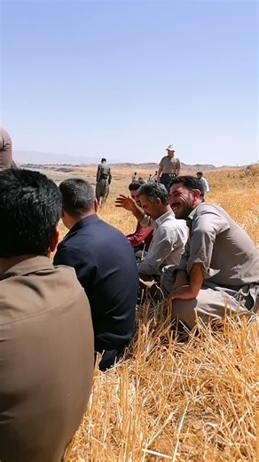 Backhoe Loader Accident in Rural Field