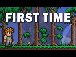 I finally tried Terraria