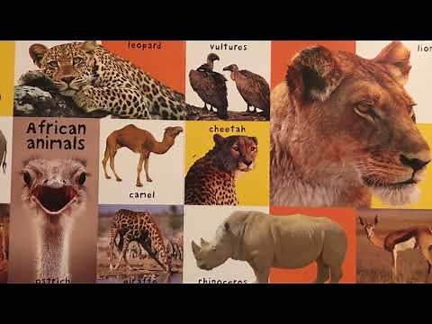 First 100 Animals Read Aloud