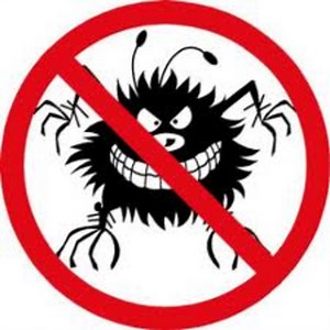 Classification of Computer Viruses / Computer Virus