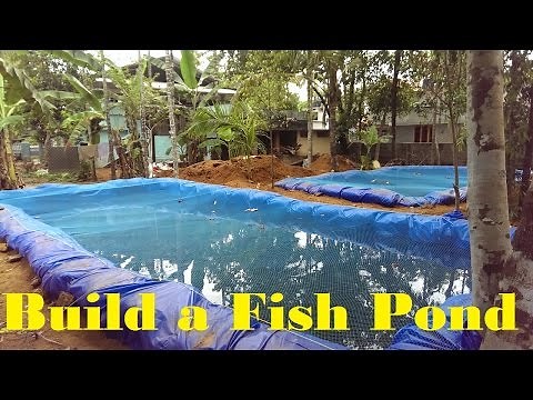 How to build a fish pond | Fish farming in Backyard | Fish tank