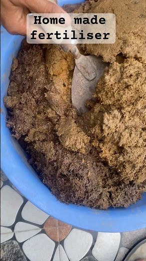 How to Make Homemade Fertilizer from Cow Dung | Free Organic Compost for Plants#homemadefertilizer