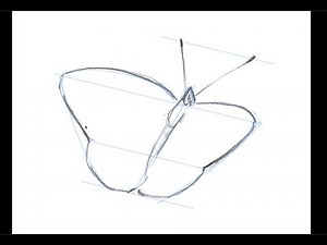 How to Draw Butterflies in Dynamic Positions