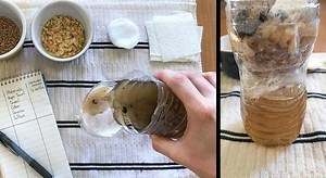 Water Filtration Challenge – Engineering Lesson | NASA JPL Education