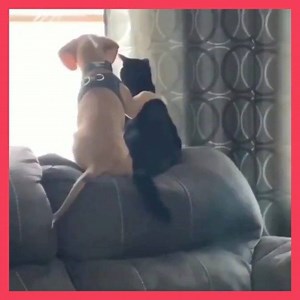 [🔊] 😍 😍 😍 | LOVOO