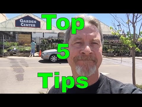 Top Tips for Picking the Right Plants