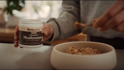 Gotham Steel 12 Pc Ceramic Cookware Set Nonstick, Ceramic Pots and Pans Set Non Stick with Steamer for Cooking, Non Toxic PFOA PFOS Free, Ergonomic Stay Cool Handles, Oven & Dishwasher Safe, Copper