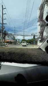 2.1K views · 20 reactions | Yield Right of Way #msfdicares #RoadSafetyMonth #msferrandodrivinginstitute #drivinglessons | MS Ferrando Driving Institute | Facebook