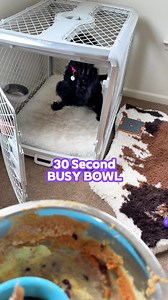 24K views · 236 reactions | Let me know if you’d like more 30 second recipes! | Rachel Fusaro | Facebook