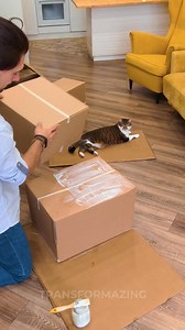 Your cat will love this DIY cardboard box castle! 🏰📦 | Transformazing