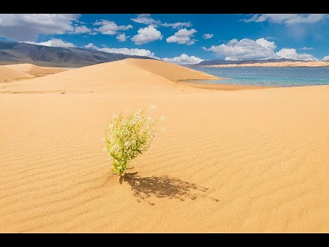 Introducing Mongolia